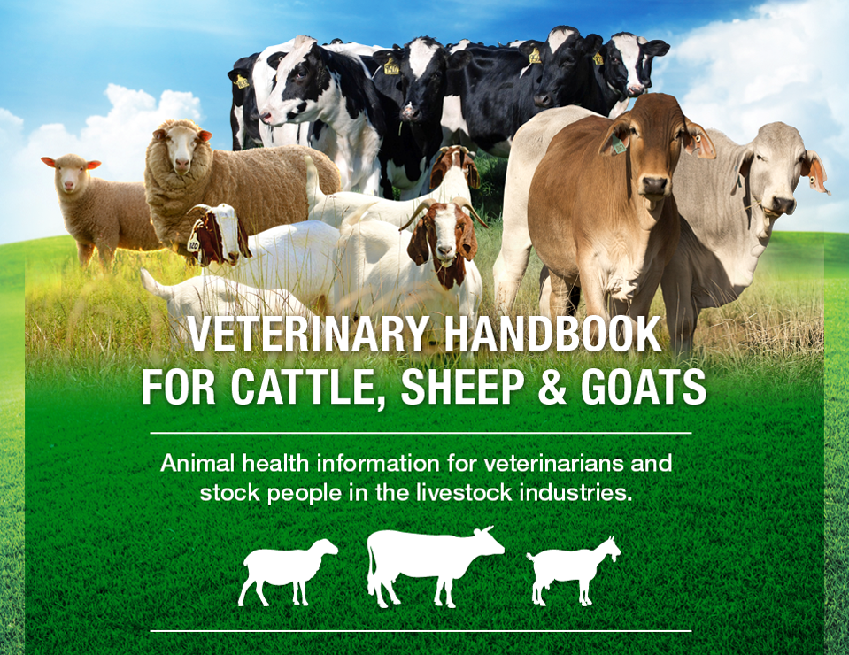 Veterinary handbook for cattle, sheep and goats > Home
